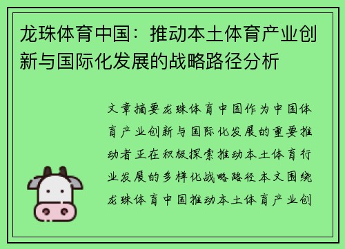 龙珠体育中国：推动本土体育产业创新与国际化发展的战略路径分析